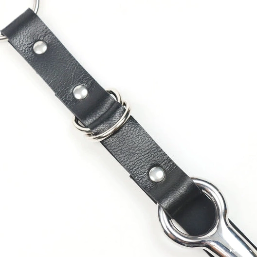 Hook Leash EverydayUse with Anal Collar 5853 and Kinky 0711